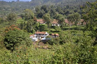 Nilgiri-Blue-Mountain-Train, Mettupalayam - Coonoor_DSC5441_H600